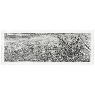 NICOLÁS MORENO, El valle y la lluvia, Firmado, Grabado al aguafuerte y punta seca 3 / 50, 15.5 x 47 cm