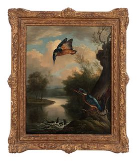 After John James Audubon (American, 1785-1851)