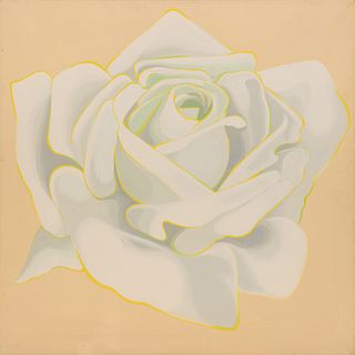 Lowell Nesbitt
 (American, 1933-1993)
White Rose, 1964