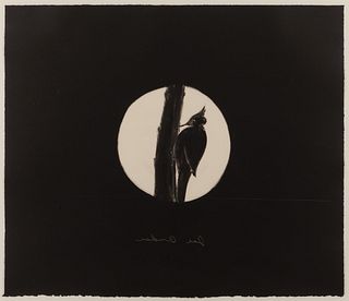 Joe Andoe
(American, b. 1955)
Untitled (Woodpecker)