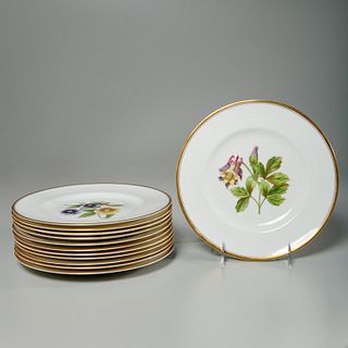 Set (12) Royal Worcester Williamson floral plates