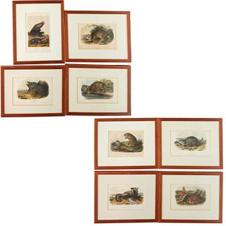 (8) J. J. Audubon "Quadrupeds" lithographs