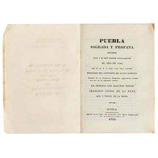 Villa Sánchez, Fray Juan. Puebla Sagrada y Profana. Informe Dado a su Muy Ilustre Ayuntamiento el Año de 1746. Puebla, 1835.