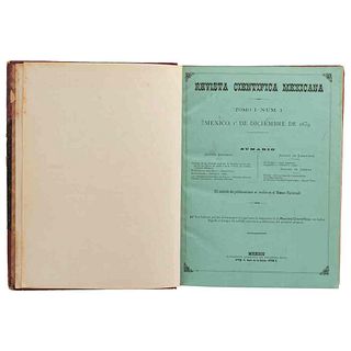 Revista Científica Mexicana. México: Tipografía Literaria de Filomeno Mata, 1879 - 1883. Números 1 - 25, Tomo I. 8 láminas.