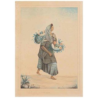 Vendedora de Frutas "Mexicaine". Mediados del Siglo XIX. Acuarela sobre papel, 24.5 x 17.5 cm. Ex Libris de Antonio Castro Leal.