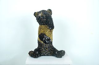 Gold Shirt (Bear cub)