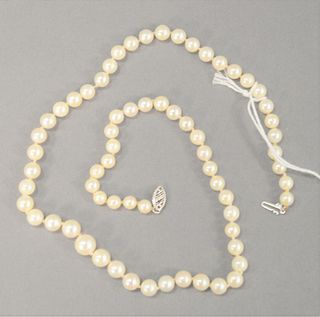 Single strand of pearls, length 18".