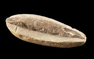 Prehistoric Cretaceous Fossilized Fish
