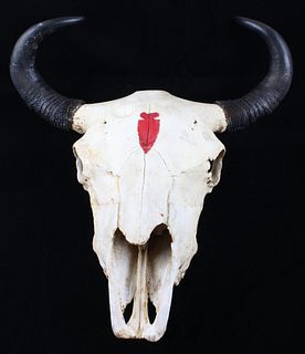 Great American Buffalo Montana Painted Arrow Skull