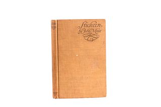 Stickeen By John Muir Rare Hardcover C. 1916