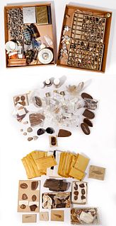 Fossil, Shell and War Relic Assortment