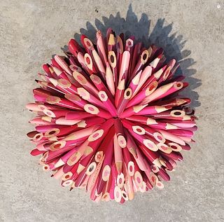 Pink Pencil Flower