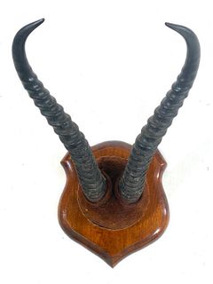 Pair of Mounted Gazelle Horns