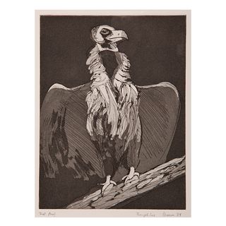 William Theophilus Brown, Vulture