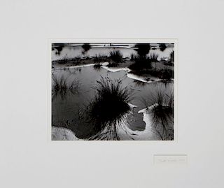 Brett Weston  'Flooded Dunes, Florence'