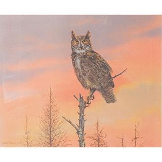 Owen Gromme Great Horned Owl Print, Eyes Of The Night