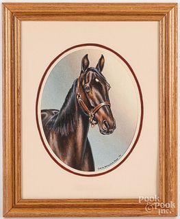 Five Judith Berkshire Jones horse portraits