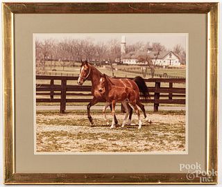 Five horse theme prints and photographs.