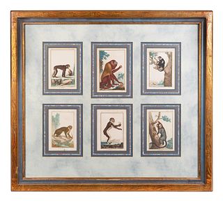 A Set of Twelve Hand-Colored Monkey Engravings
Dimensions of each 5 1/2 x 4 inches.