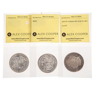 Three Uncirculated Morgan Dollar CC's (82-83-84)