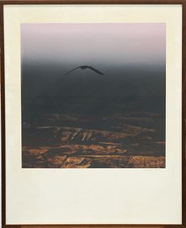 LAWRENCE DAWS (AUSTRALIAN, BORN 1927), OMEN BIRD, artist's 