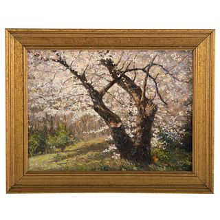 Nathaniel K. Gibbs. Cherry Blossoms, oil on panel