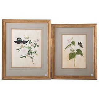 Pair of Botanical Watercolors