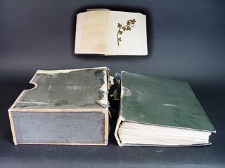 Antique Collection of Flora Book