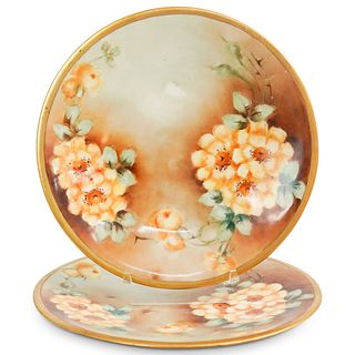 (2 Pc) Antique Limoges Floral Porcelain Plates