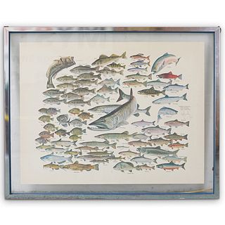 Russ Smiley Artist Proof Freshwater Fish Lithograph