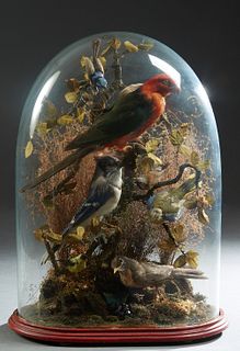 Large Victorian Oblong Blown Glass Taxidermied Bird Dome, 19th c., containing six birds and a large parrot, on a stepped polychromed wood base, H.- 24