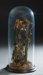 Tall Victorian Circular Blown Glass Taxidermied Bird Dome, 19th c., containing one bird and a nest, on a stepped mahogany base, H.- 19 1/2 in., Dia.- 