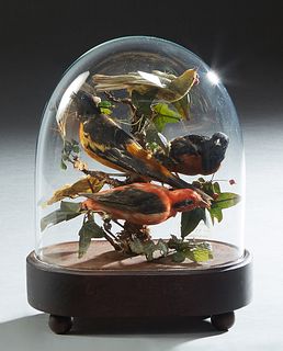 Small Victorian Oblong Blown Glass Taxidermied Bird Dome, late 19th c., containing four birds, on an ebonized wood base, H.- 11 1/2 in., W.- 9 in., D.