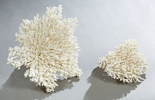 Two Large White Coral Specimens, H.- 13 in., W.- 16 in., D.- 14 in. and H.- 8 in., W.- 8 in., D.- 9 in. (2Pcs.)
