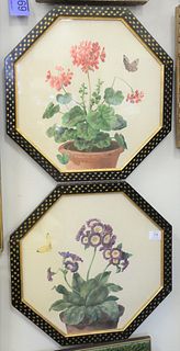 Three Framed Botanical Watercolors, to include strawberry plant with a butterfly, sight size 9" x 11", unsigned; pair of blossoming flowers in pot, si