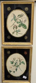 Seven Piece Group of Framed Botanical Prints, to include three J. Baptiste still lifes with hand coloring; unsigned engraving of peppers; pair of lith