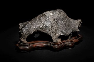 A Petrified Wood Scholar's Rock