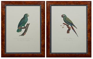 Francois Levaillant (1753-1824, French), "L'Ara Militaire," and "Le Perruquet a face rouge," 20th c., pair of colored parrot prints, 67/200, from his 