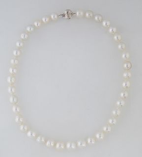 Graduated Strand of Thirty-Nine White Cultured South Seas Pearls, ranging from 10-13mm, with a 14K white gold ball clasp, L.- 17 1/2 in., with apprais