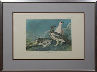 John James Audubon (1785-1851), "Rock Grous," No. 74, Plate 368, Amsterdam Edition, presented in a silvered wood frame with a wide mat, H.- 20 1/2 in.
