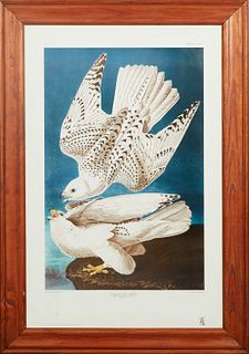 John James Audubon (1785-1851), "Iceland or Jer Falcon," No. 74, Plate 366, Haddad's Fine Arts Edition, 1987, presented in a stained birch frame, H.- 