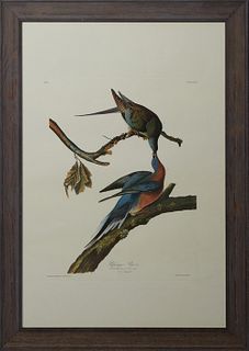 John James Audubon (1785-1851, Haitian/American), "Passenger Pigeon," No 13, Plate 62, Princeton edition, presented in a wide polychromed frame, H.- 3