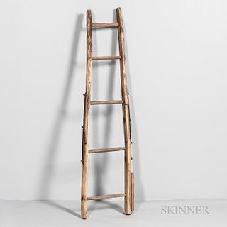 Primitive Make-do Wooden Ladder