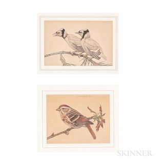 Charles Heil (Massachusetts, 1870-1950)

Two Bird Watercolors. Signed "Charles E Heil" along the top of the images. Watercolor on paper, sizes to 5 x 
