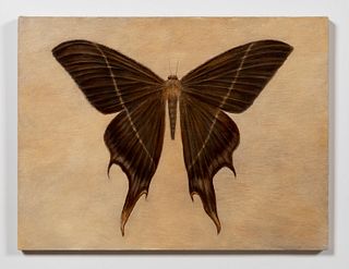 KATE JAVENS, "NAMED FOR WILLIAM BLAKE", BUTTERFLY