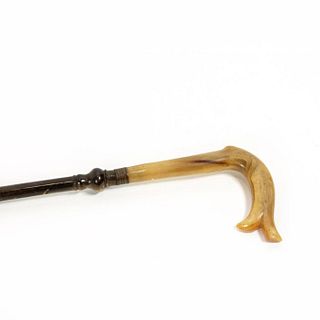 Very Unusual All Horn Cane