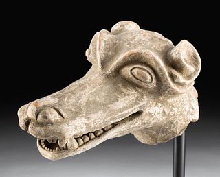 Rare Aztec Terracotta Coyote Head Fragment