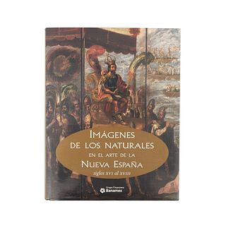 Imágenes de los Natrurales en el Arte de la Nueva España siglos XVI al XVIII. México: Fomento Cultural Banamex, 2005.
