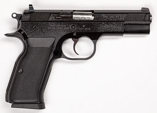 Italian Tanfoglio Witness semi-automatic pistol