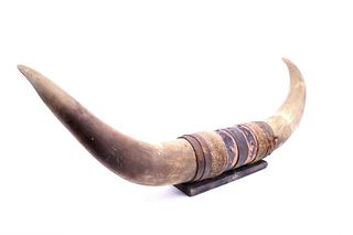 Early 1900's Mounted Longhorn Steer Horns
